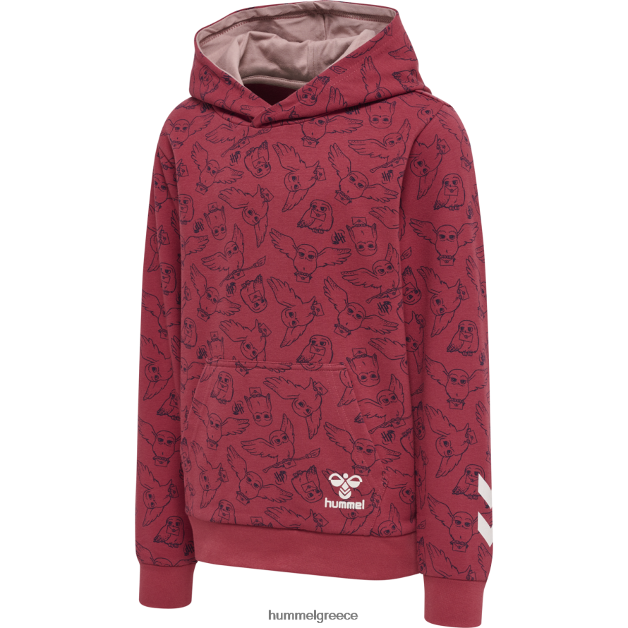 Hummel για άνδρες και γυναίκες hmlharry potter aop hoodie T20HHR5111 "ΦΟΥΤΕΡ με ΚΟΥΚΟΥΛΑ"