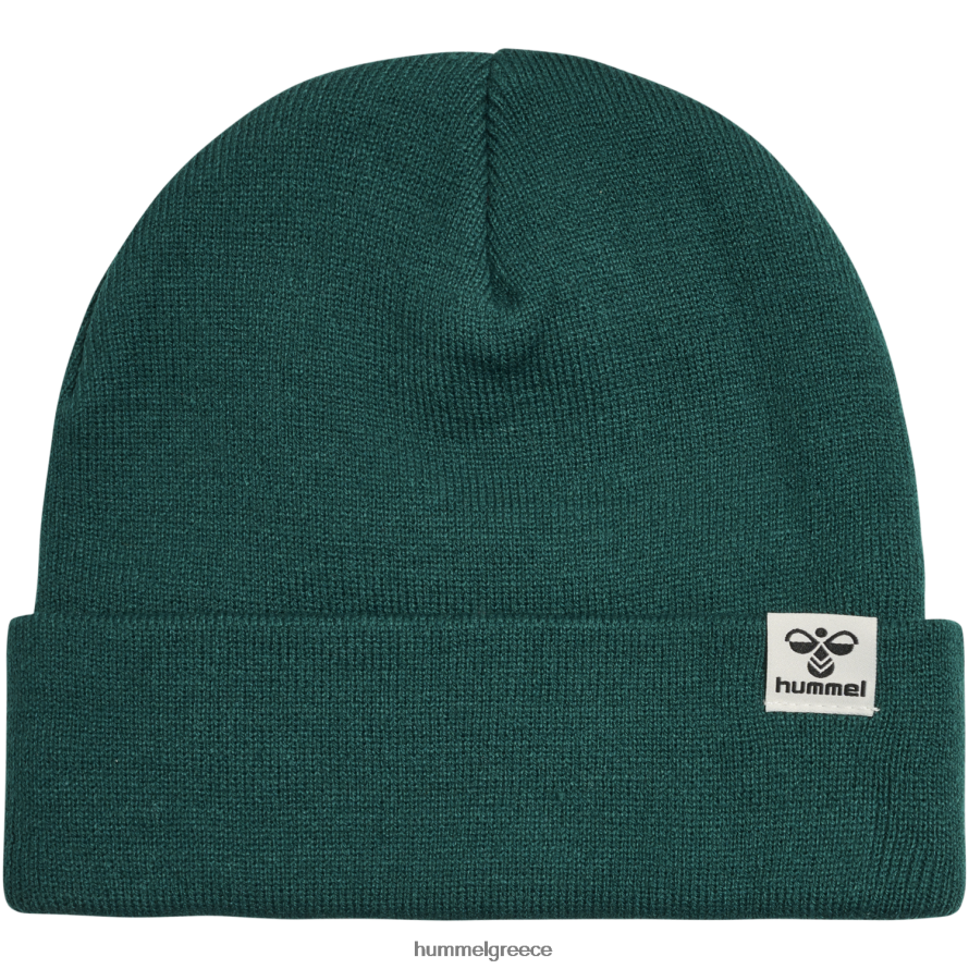 Hummel παιδιά hmlpark beanie T20HHR5342 "beanie"