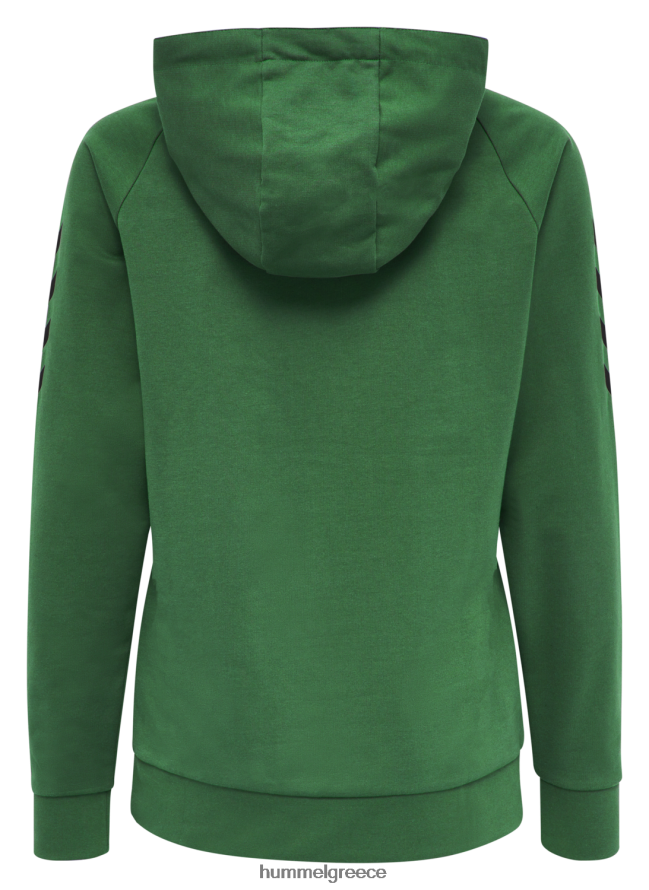 Hummel γυναίκες hmlgo βαμβακερή κουκούλα T20HHR3122 "hoodie με μανίκια chevron"