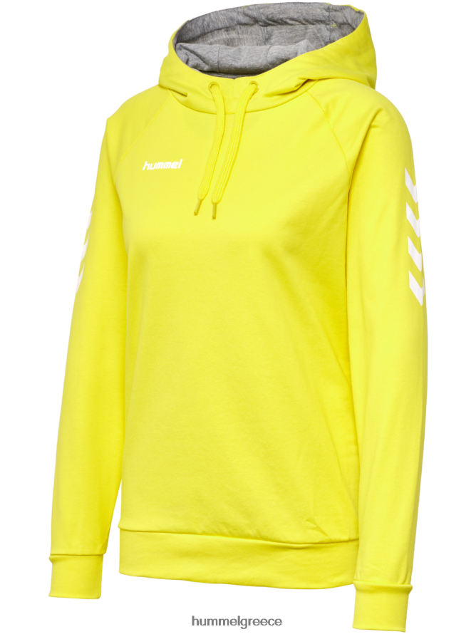 Hummel γυναίκες hmlgo βαμβακερή κουκούλα T20HHR3123 "hoodie με μανίκια chevron"