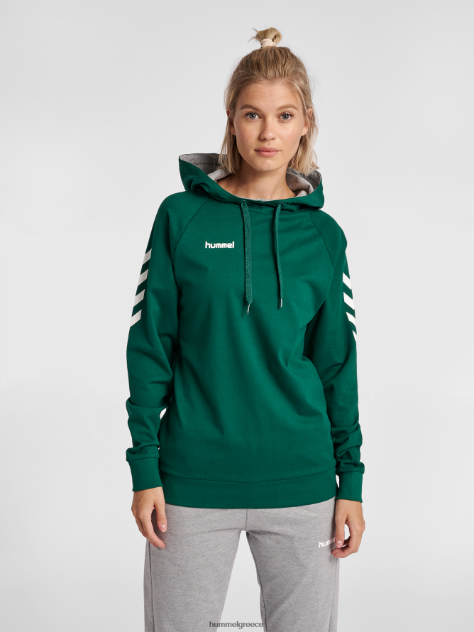 Hummel γυναίκες hmlgo βαμβακερή κουκούλα T20HHR3791 "hoodie με μανίκια chevron"