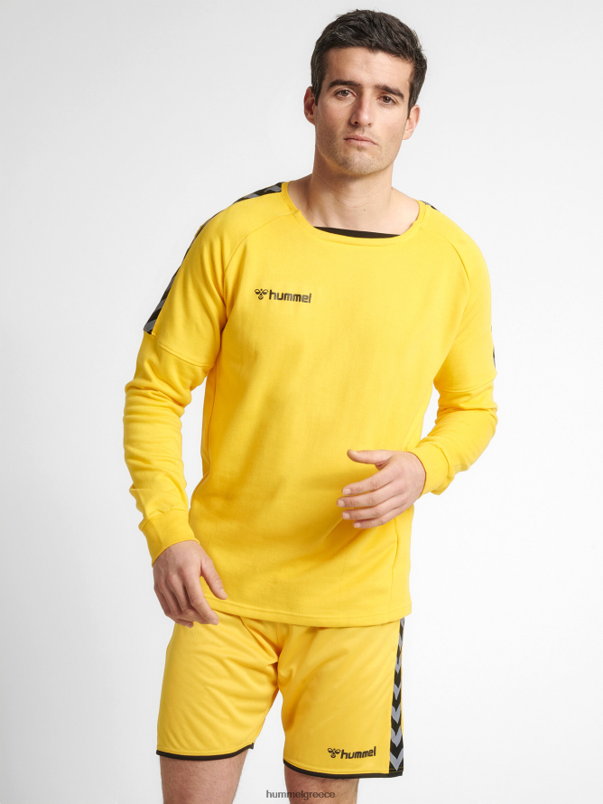 Hummel άνδρες hmlauthentic προπονητικός ιδρώτας T20HHR1444 "Φούτερ προπόνησης"