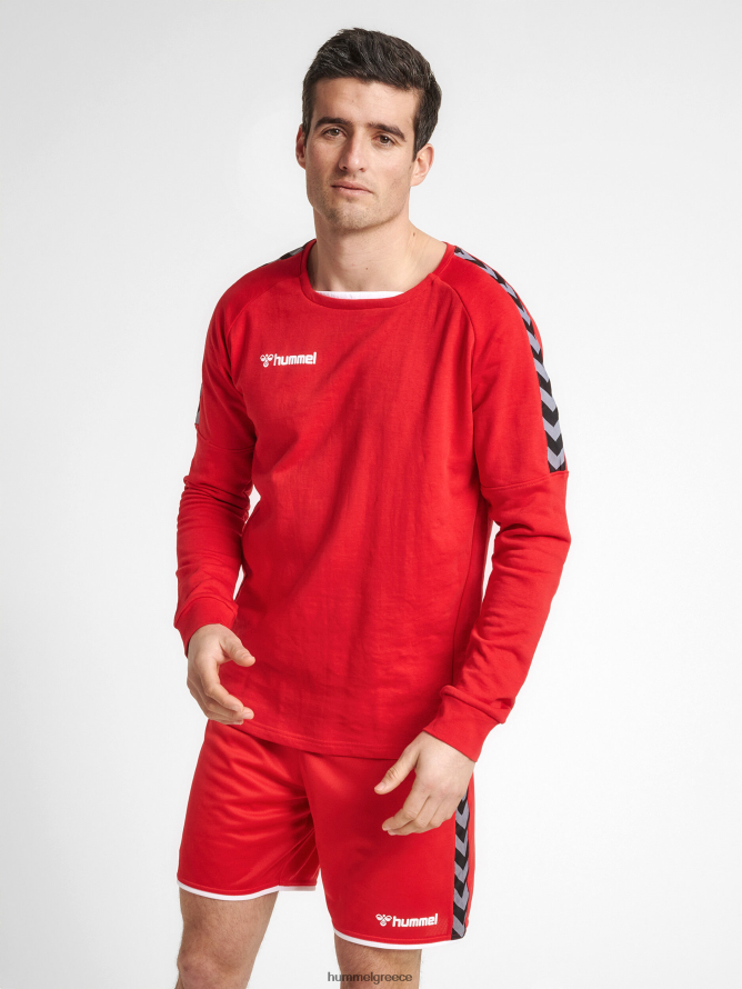 Hummel άνδρες hmlauthentic προπονητικός ιδρώτας T20HHR1479 "Φούτερ προπόνησης"