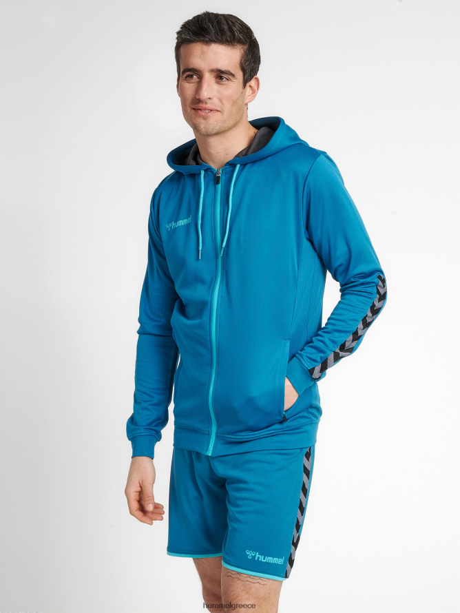 Hummel άνδρες hmlauthentic poly zip hoodie T20HHR1496 "κουκούλα με φερμουάρ"