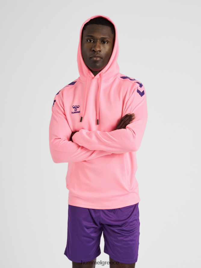 Hummel άνδρες hmlcore xk poly sweat hoodie T20HHR491 "φούτερ με κουκούλα"