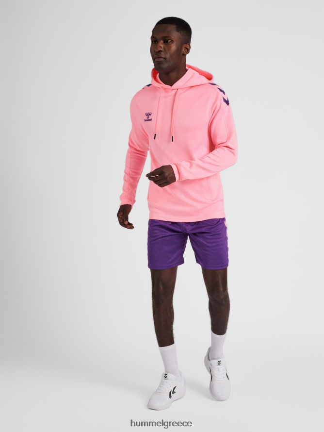 Hummel άνδρες hmlcore xk poly sweat hoodie T20HHR491 \"φούτερ με κουκούλα\"