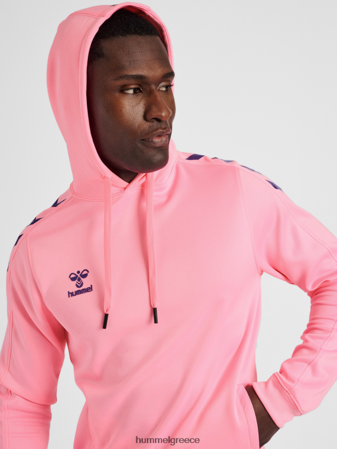 Hummel άνδρες hmlcore xk poly sweat hoodie T20HHR491 \"φούτερ με κουκούλα\"