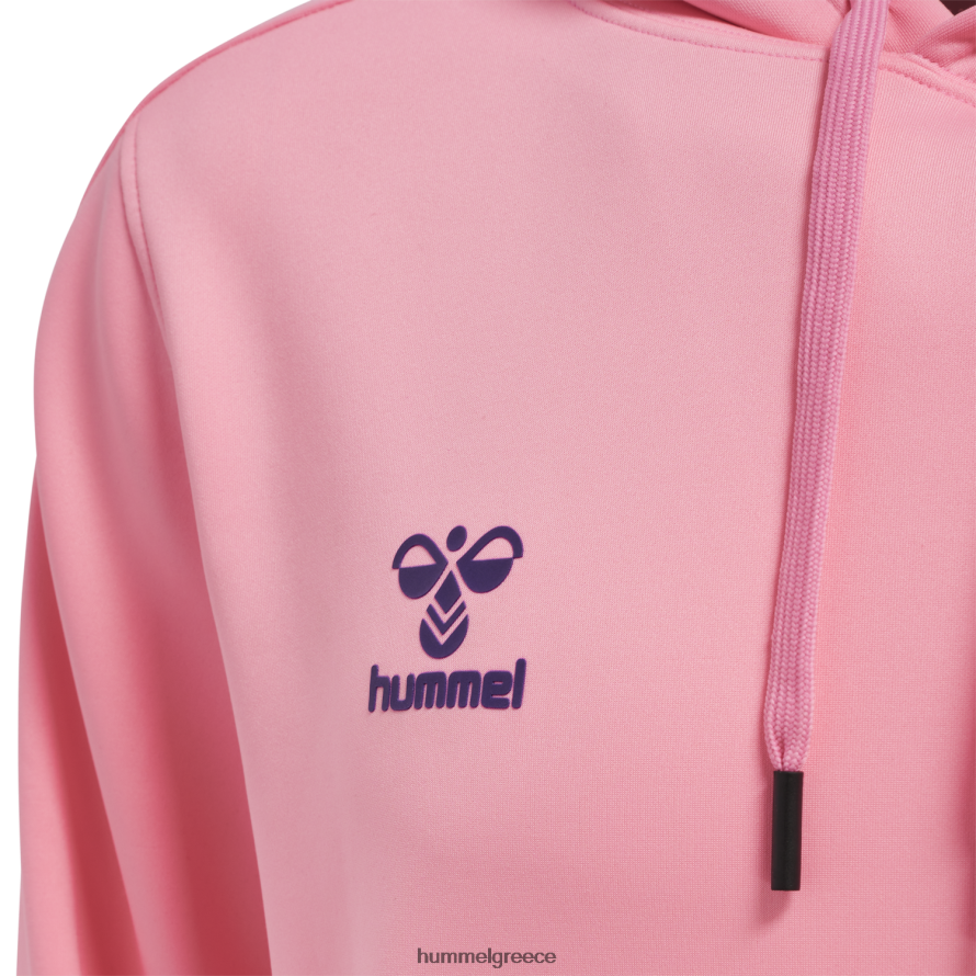 Hummel άνδρες hmlcore xk poly sweat hoodie T20HHR491 \"φούτερ με κουκούλα\"
