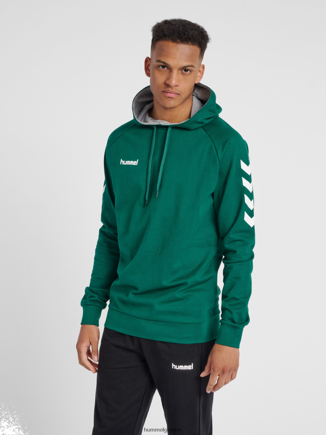 Hummel άνδρες hmlgo βαμβακερή κουκούλα T20HHR1389 "hoodie με μανίκια chevron"