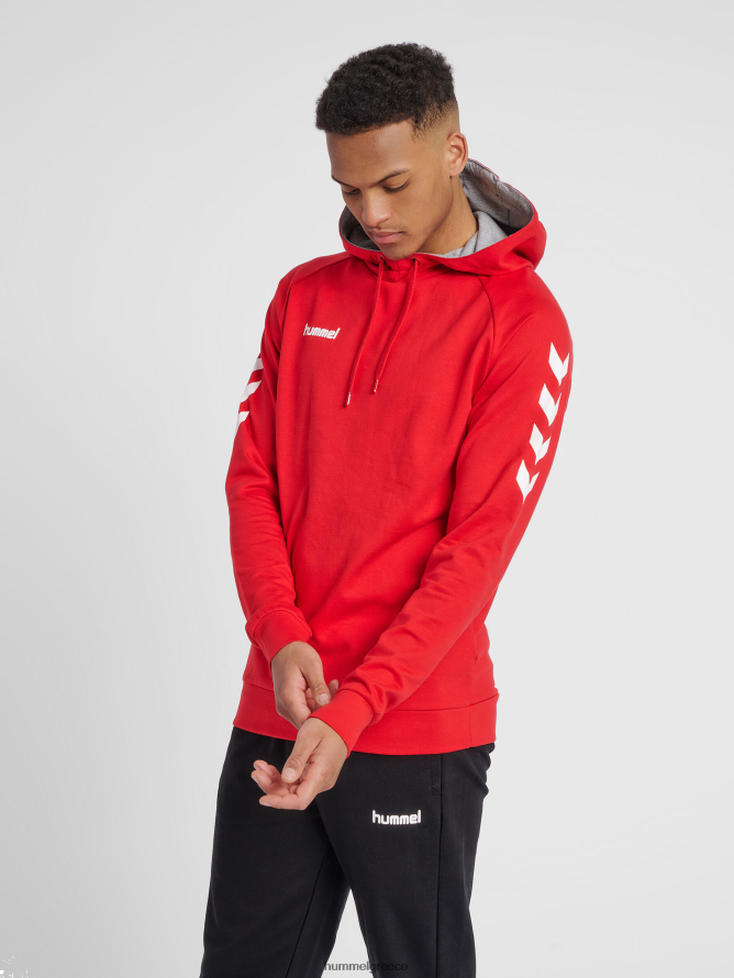 Hummel άνδρες hmlgo βαμβακερή κουκούλα T20HHR1394 "hoodie με μανίκια chevron"