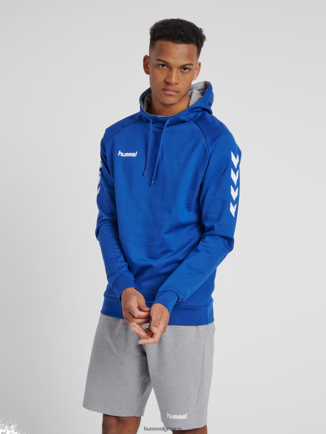 Hummel άνδρες hmlgo βαμβακερή κουκούλα T20HHR1403 "hoodie με μανίκια chevron"