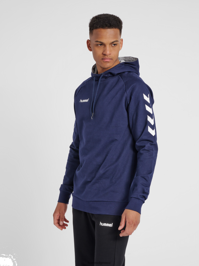 Hummel άνδρες hmlgo βαμβακερή κουκούλα T20HHR1521 "hoodie με μανίκια chevron"