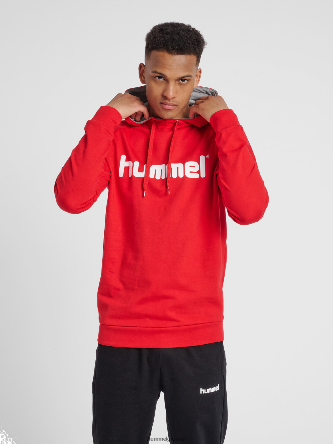 Hummel άνδρες hmlgo βαμβακερή κουκούλα με λογότυπο T20HHR1627 "hoodie με μεγάλο λογότυπο"