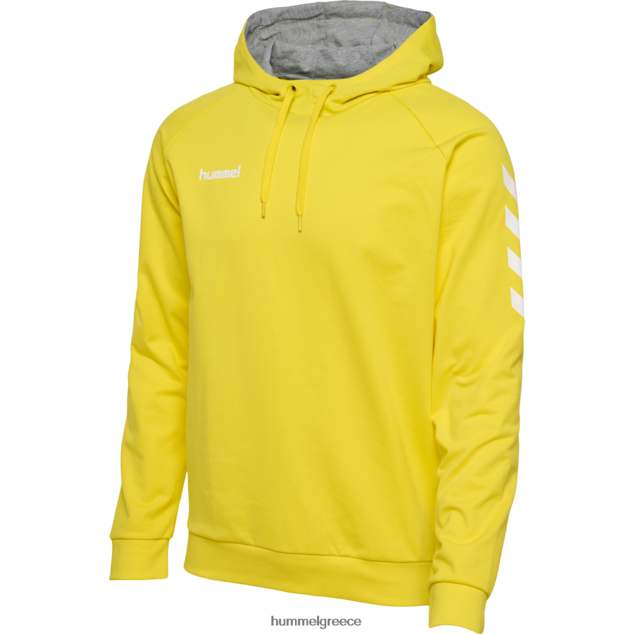 Hummel άνδρες hmlgo βαμβακερή κουκούλα T20HHR745 "hoodie με μανίκια chevron"