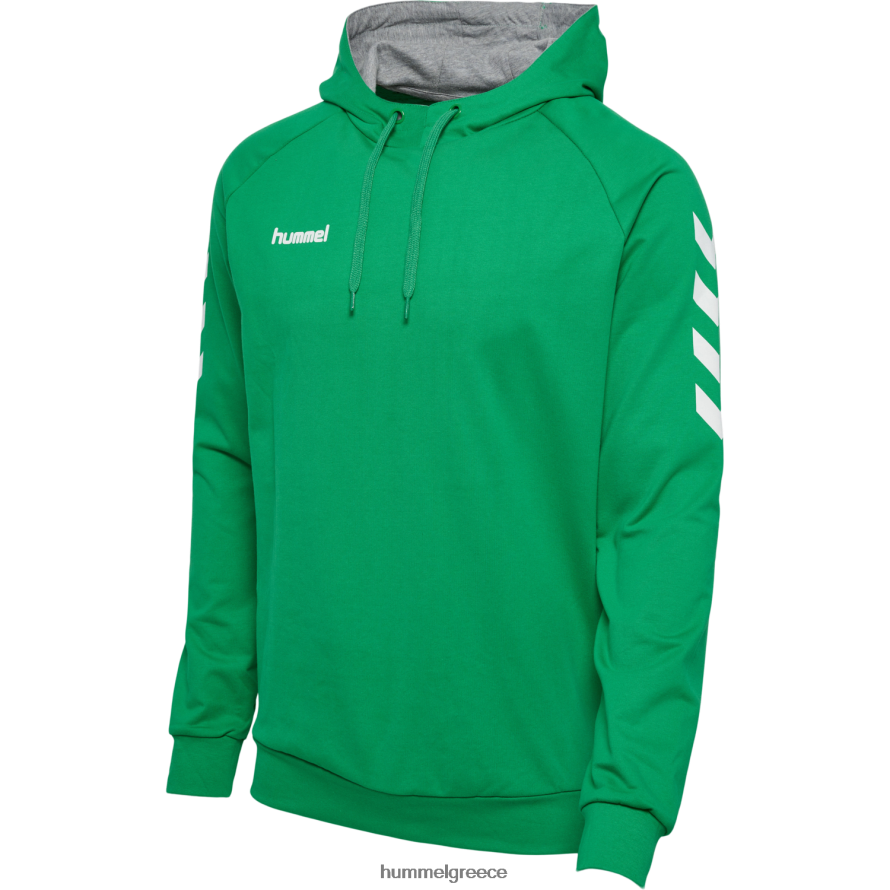 Hummel άνδρες hmlgo βαμβακερή κουκούλα T20HHR941 "hoodie με μανίκια chevron"