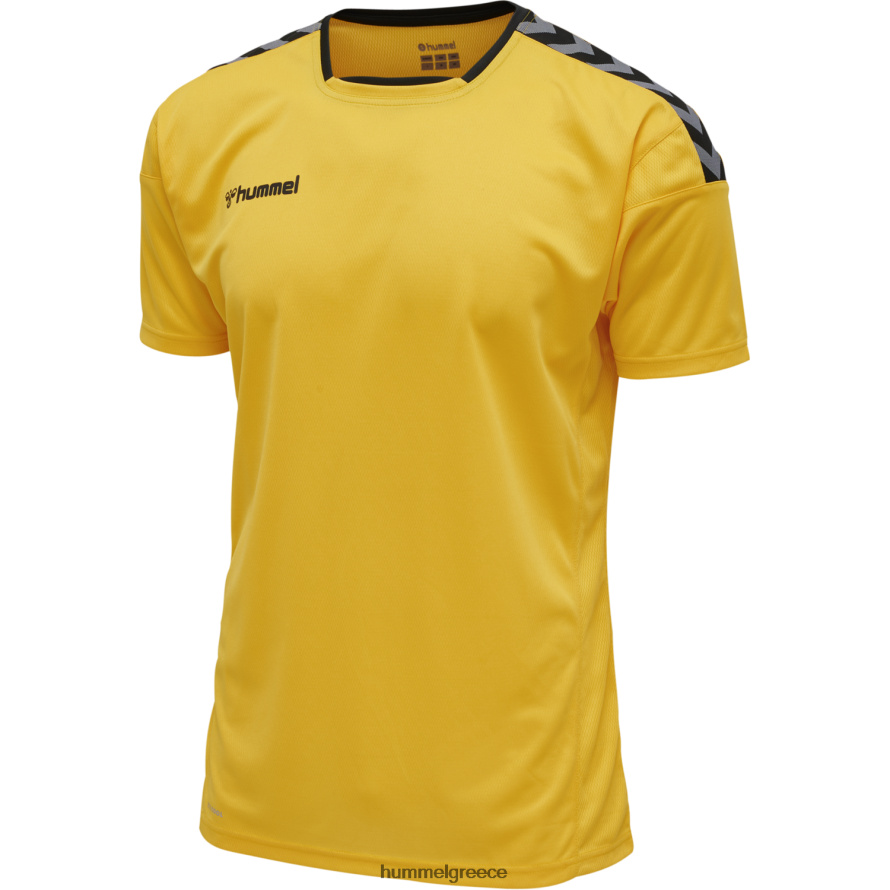 Hummel άνδρες hmlauthentic poly jersey s/s T20HHR1538 "αθλητικό τοπ με σιρίτι"