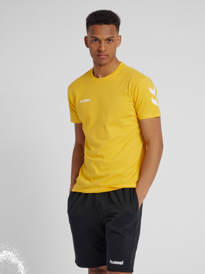 Hummel άνδρες hmlgo βαμβακερό μπλουζάκι s/s T20HHR1415 "βαμβακερό μπλουζάκι με σεβρόν"