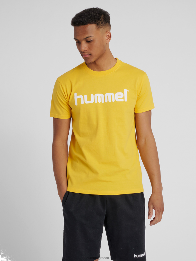 Hummel άνδρες hmlgo βαμβακερό λογότυπο μπλουζάκι s/s T20HHR1435 "είδη ένδυσης"