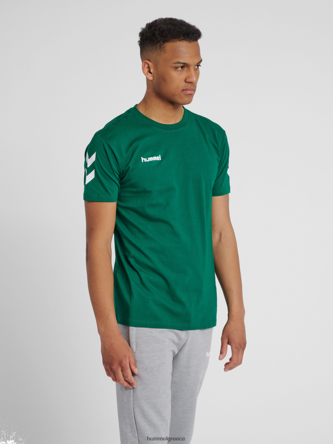 Hummel άνδρες hmlgo βαμβακερό μπλουζάκι s/s T20HHR1643 "βαμβακερό μπλουζάκι με σεβρόν"