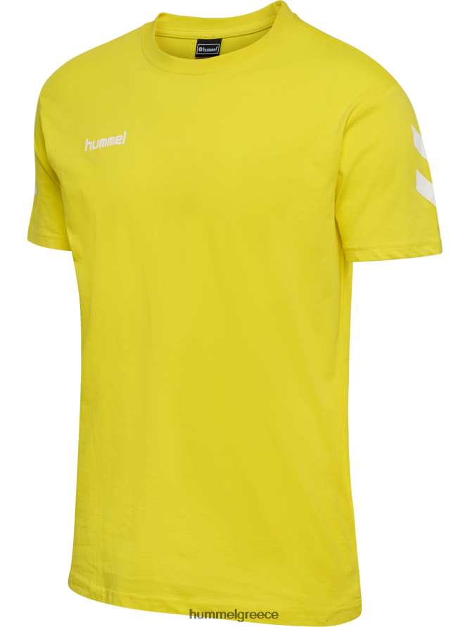Hummel άνδρες hmlgo βαμβακερό μπλουζάκι s/s T20HHR883 "βαμβακερό μπλουζάκι με σεβρόν"