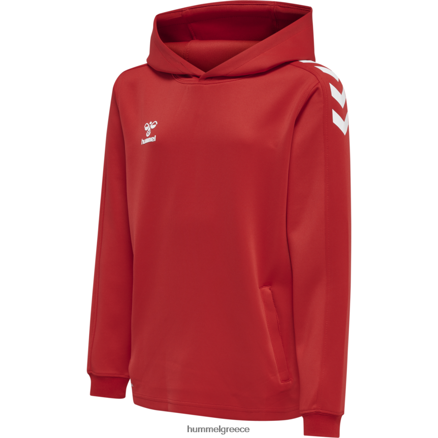 Hummel παιδιά hmlcore xk poly sweat hoodie T20HHR6116 "φούτερ με κουκούλα"