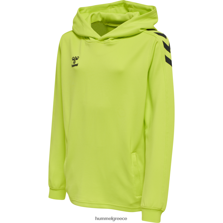 Hummel παιδιά hmlcore xk poly sweat hoodie T20HHR6222 "φούτερ με κουκούλα"