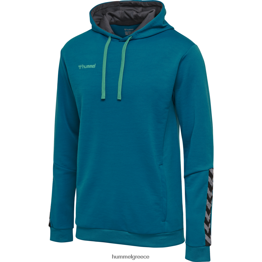 Hummel παιδιά hmlauthentic poly hoodie T20HHR6825 "ΦΟΥΤΕΡ με ΚΟΥΚΟΥΛΑ"