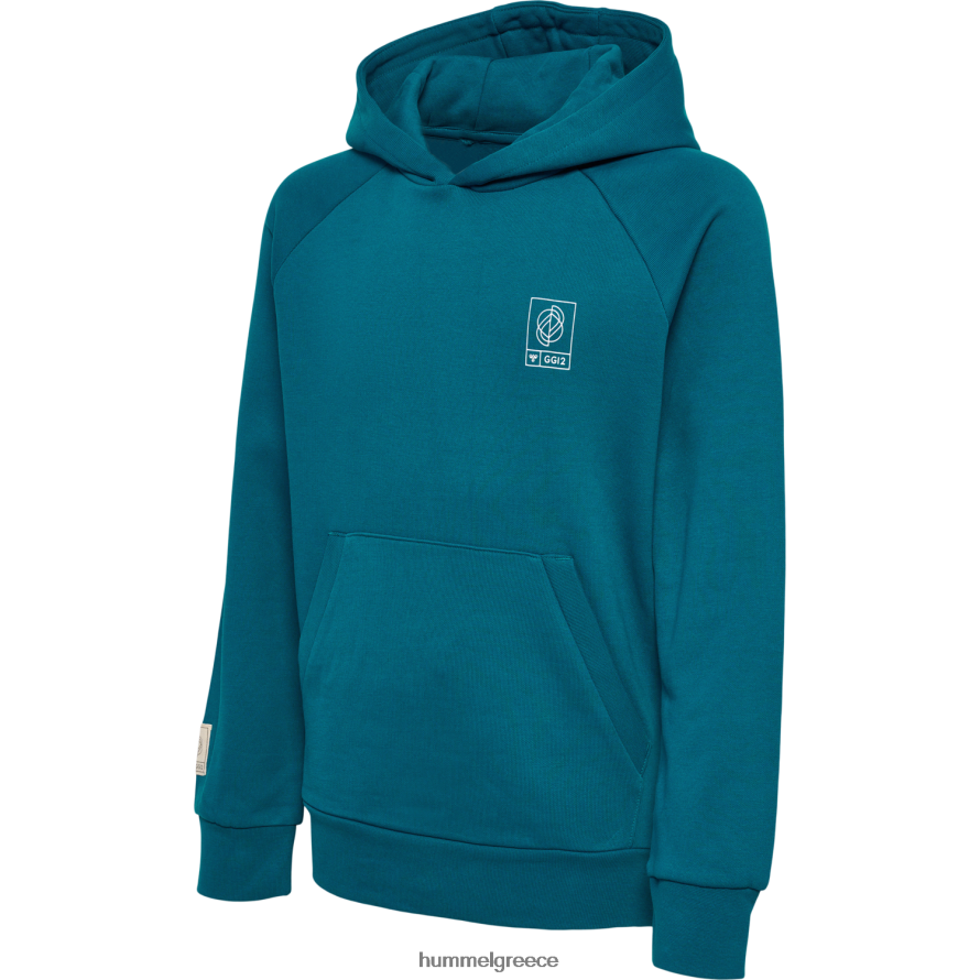 Hummel παιδιά hmlgg12 sweat hoodie T20HHR6213 "φούτερ με κουκούλα"