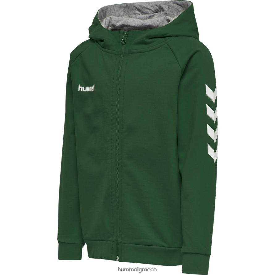 Hummel παιδιά hmlgo βαμβακερή κουκούλα με φερμουάρ T20HHR6796 "Αθλητικές Ζακέτες και Φούτερ"