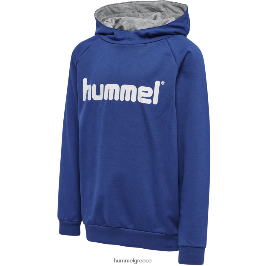 Hummel παιδιά hmlgo βαμβακερή κουκούλα με λογότυπο T20HHR6867 "Αθλητικές Ζακέτες και Φούτερ"