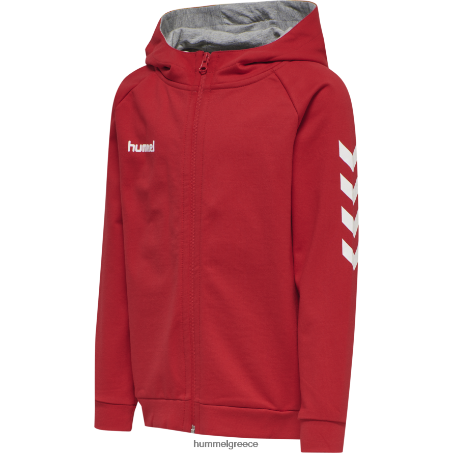 Hummel παιδιά hmlgo βαμβακερή κουκούλα με φερμουάρ T20HHR6936 "Αθλητικές Ζακέτες και Φούτερ"