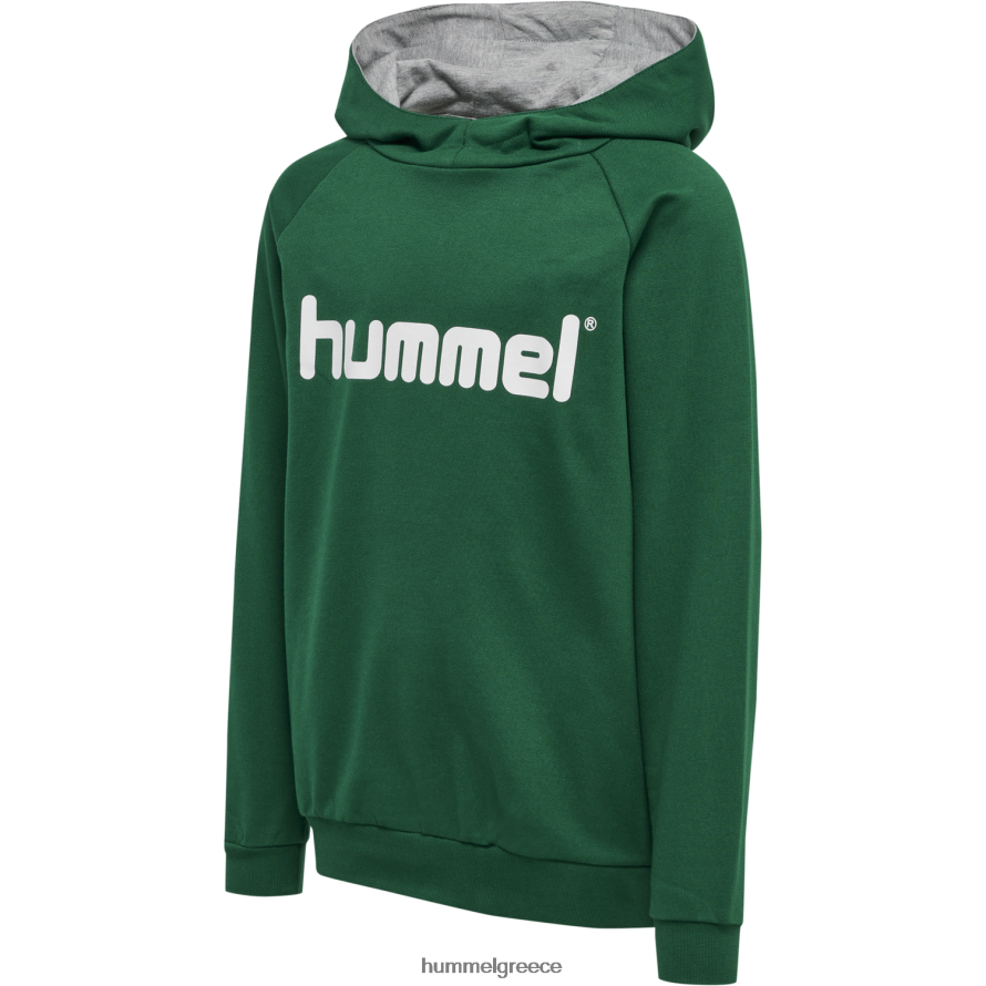 Hummel παιδιά hmlgo βαμβακερή κουκούλα με λογότυπο T20HHR6962 "Αθλητικές Ζακέτες και Φούτερ"