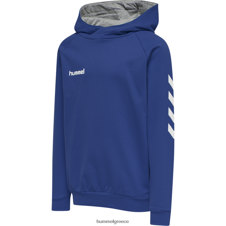 Hummel παιδιά hmlgo βαμβακερή κουκούλα T20HHR7019 "Αθλητικές Ζακέτες και Φούτερ"