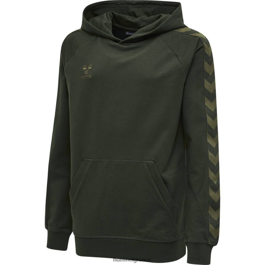 Hummel παιδιά hmlmove κλασικό hoodie T20HHR6977 "κλασικό hoodie"